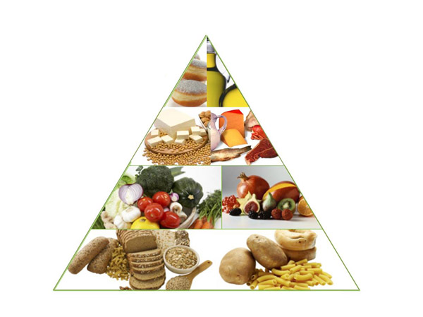 piramida-makanan
